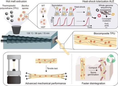 UC San Diego Researchers Develop Lo